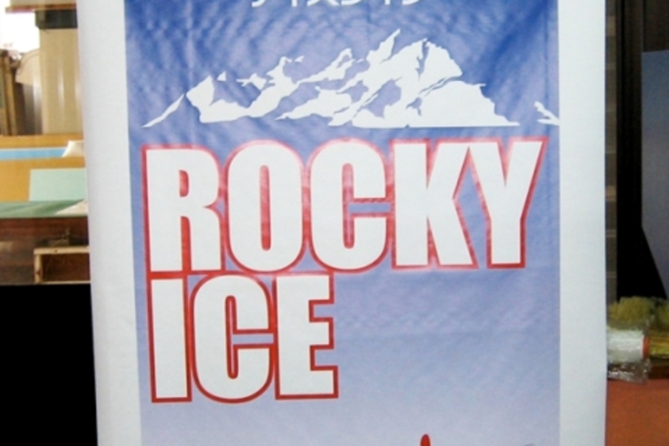 フラッグ・タペストリーの画像