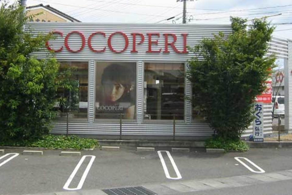 ｼｰｽﾙｰﾌｨﾙﾑの画像